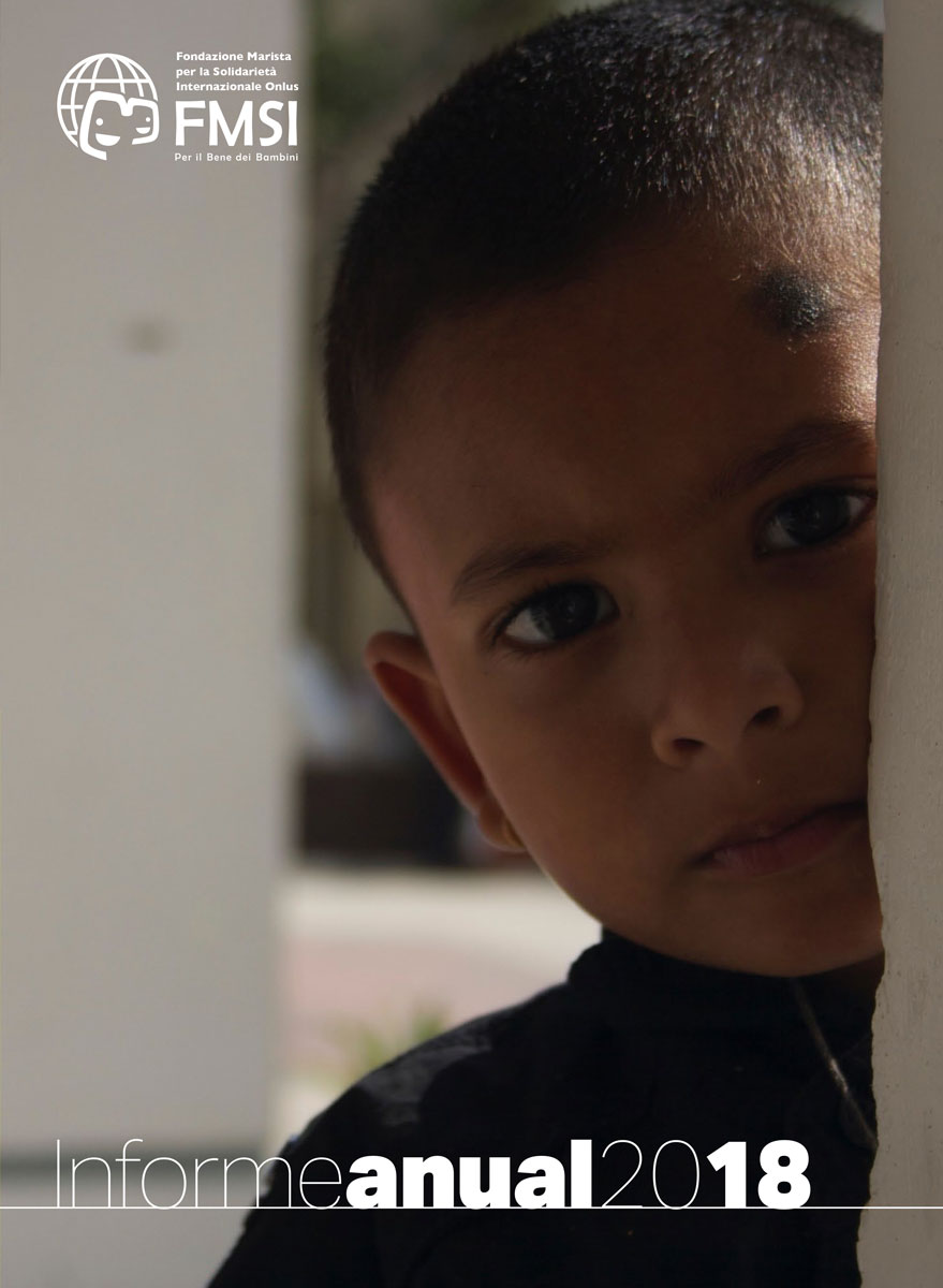 Informe_Anual_2018_FMSI